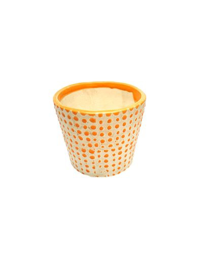 Color Dot Pot 